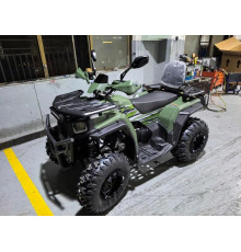 Квадроцикл ATV ARMIS 250 