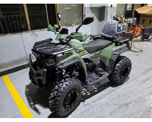 Квадроцикл ATV ARMIS 250 