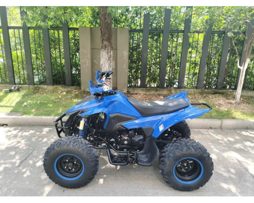 Квадроцикл ATV SPORTY 250 FAN недорого 