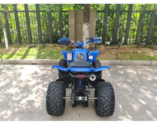 Квадроцикл ATV SPORTY 250 FAN недорого 