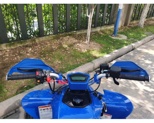 Квадроцикл ATV SPORTY 250 FAN недорого 